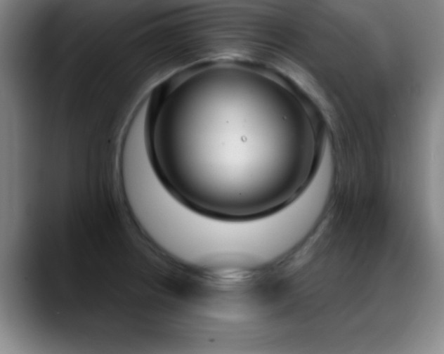X0000088851234200706151711