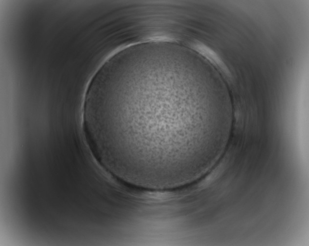 X0000088851236200706151711