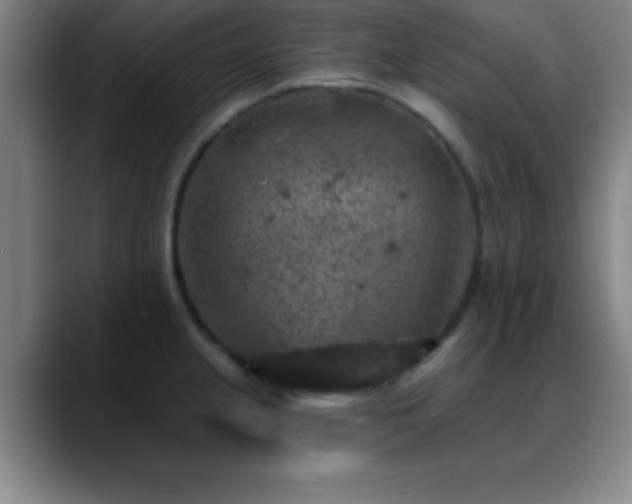 X0000088851237200706151711