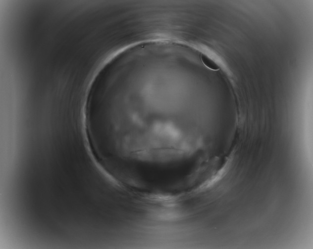 X0000088851239200706151711