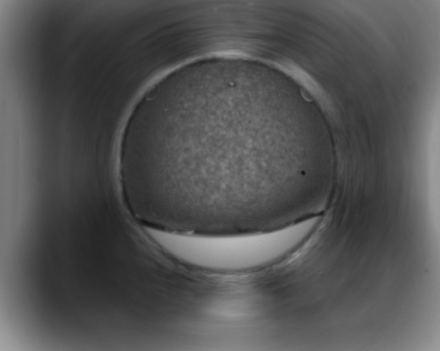 X0000088851240200706151711