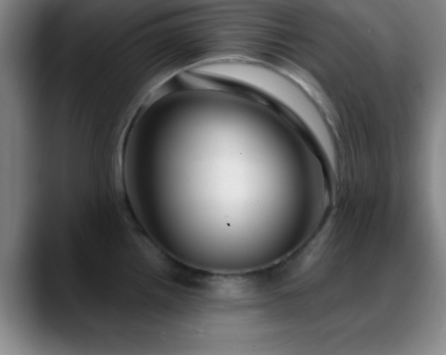 X0000088851242200706151711