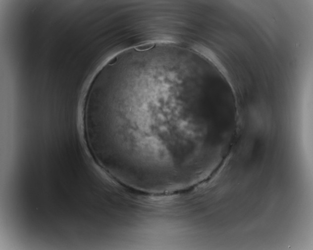 X0000088851243200706151711