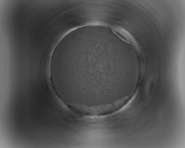 X0000088851244200706151711