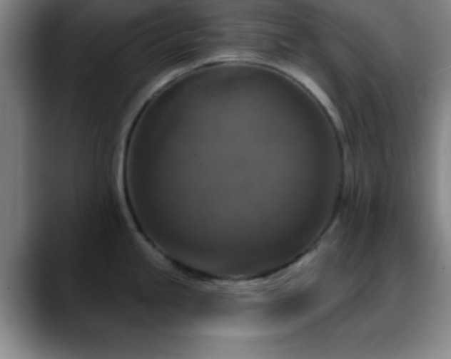 X0000088851245200706151711