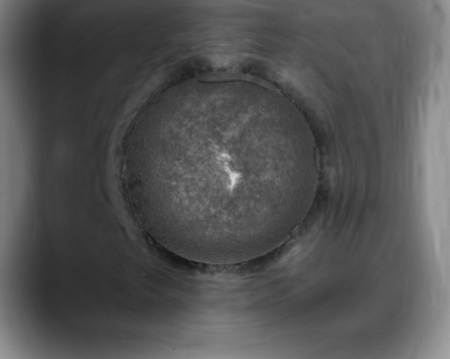 X0000088851249200706151711