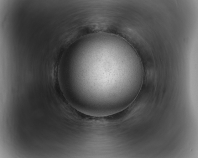 X0000088851250200706151711