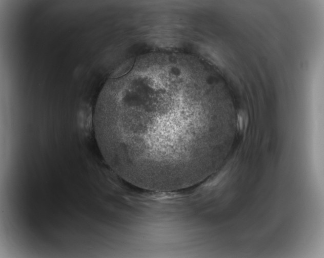 X0000088851251200706151711