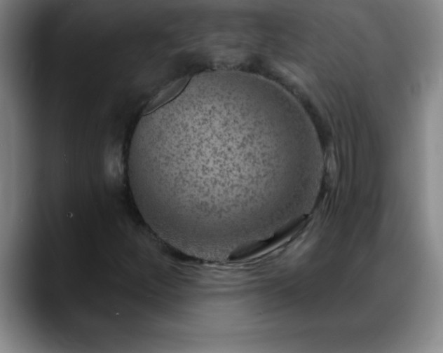 X0000088851252200706151711