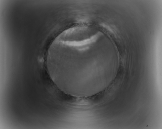 X0000088851254200706151711