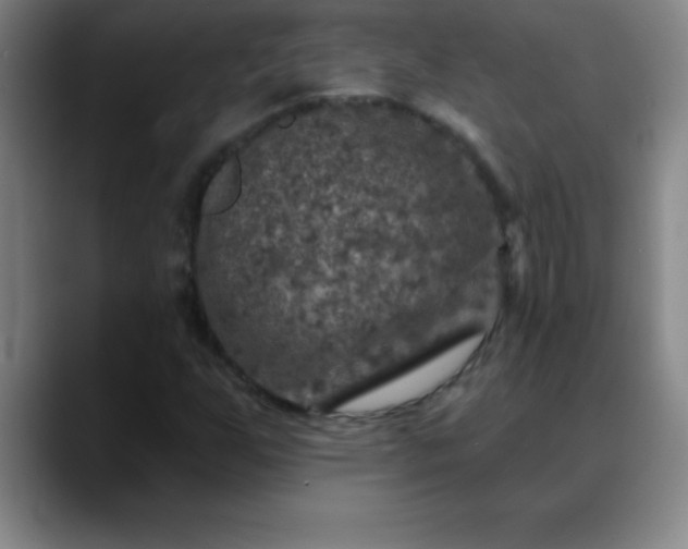 X0000088851255200706151711