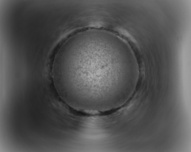 X0000088851256200706151711