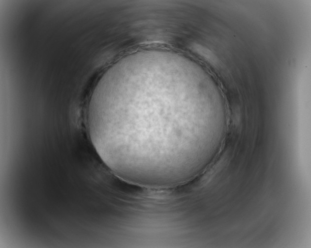 X0000088851258200706151711