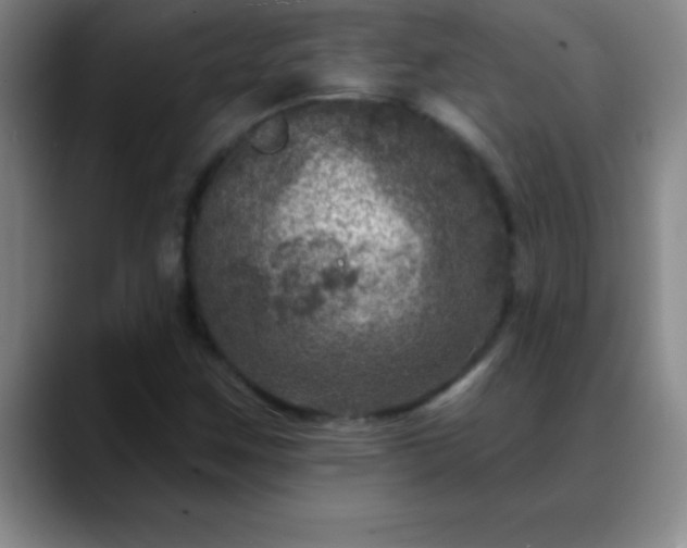 X0000088851259200706151711