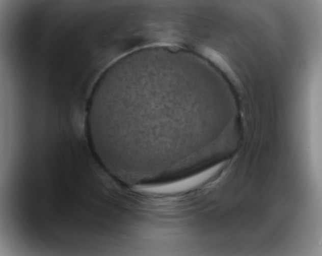 X0000088851260200706151711