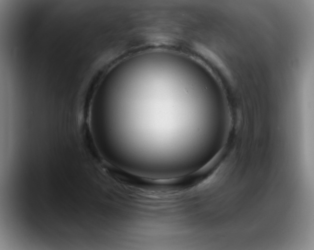 X0000088851261200706151711
