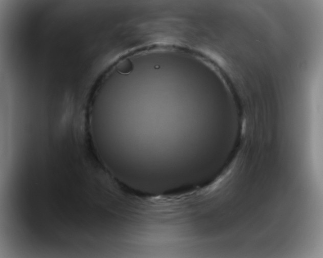 X0000088851263200706151711