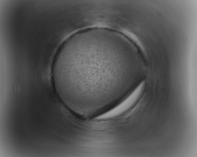 X0000088851264200706151711