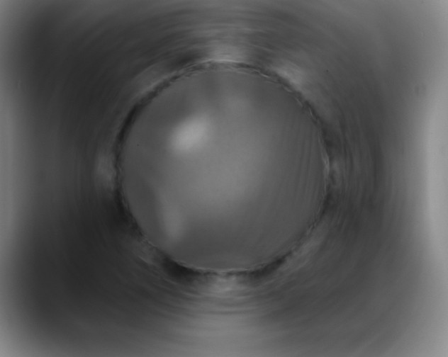X0000088851266200706151711