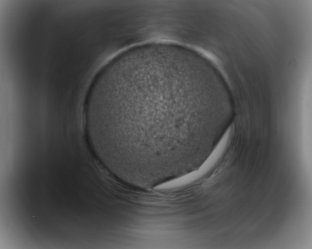 X0000088851271200706151711