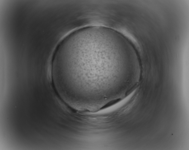 X0000088851272200706151711