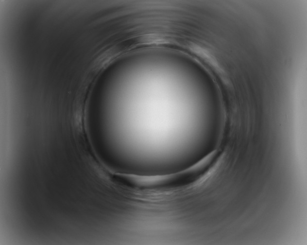 X0000088851273200706151711