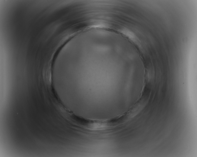 X0000088851274200706151711