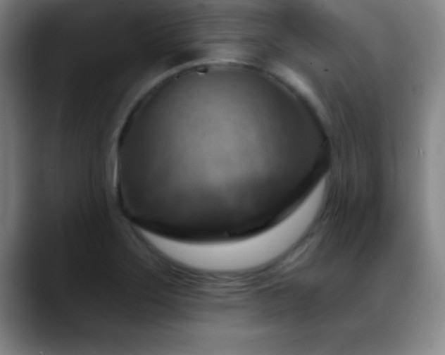 X0000088851275200706151711