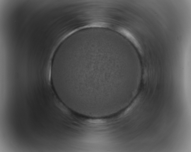 X0000088851276200706151711