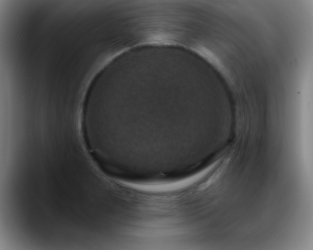 X0000088851277200706151711