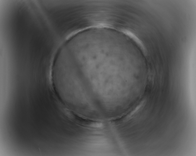 X0000088851278200706151711