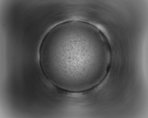 X0000088851280200706151711