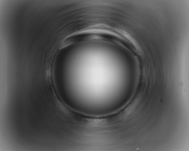 X0000088851281200706151711