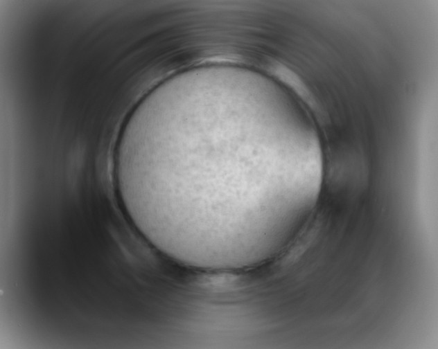 X0000088851282200706151710