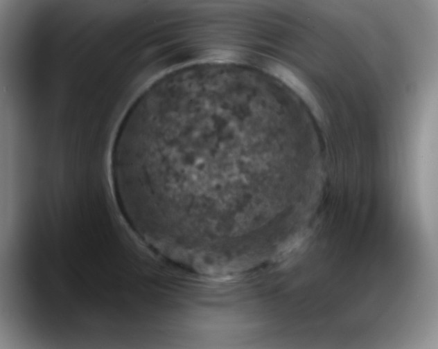 X0000088851283200706151710