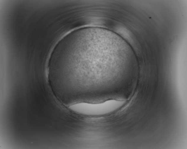 X0000088851284200706151710