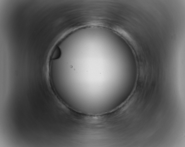 X0000088851286200706151710
