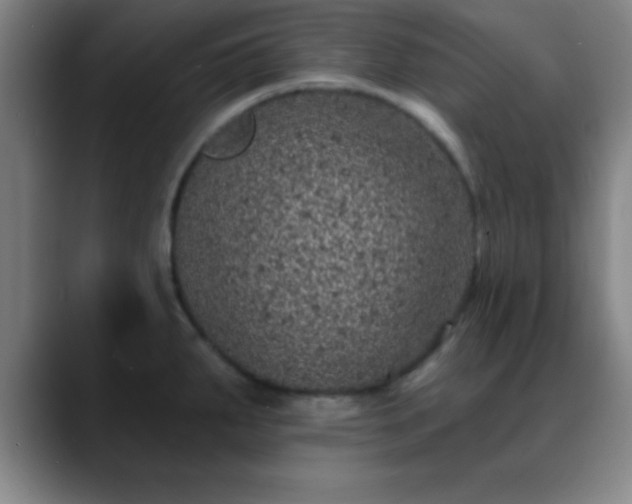 X0000088851287200706151710