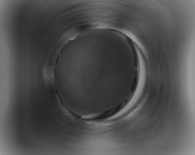 X0000088851289200706151710