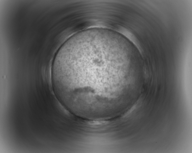 X0000088851290200706151710