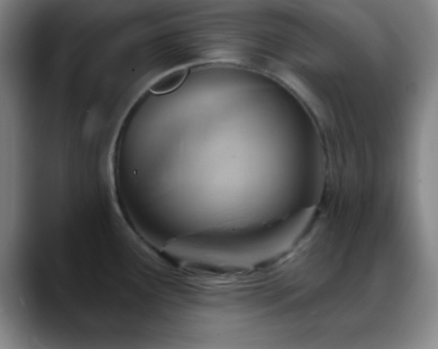 X0000088851291200706151710