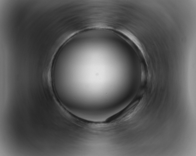 X0000088851293200706151710