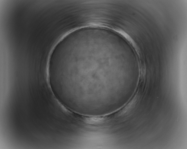X0000088851294200706151710