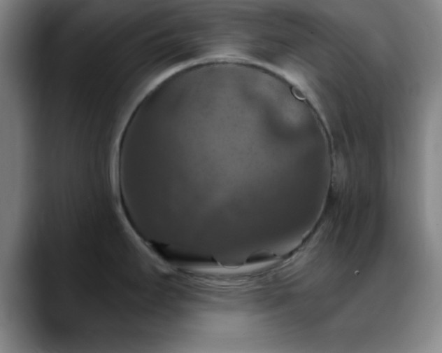 X0000088851295200706151710