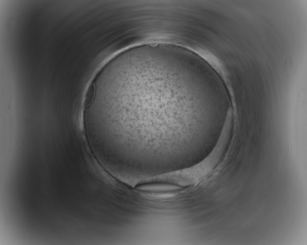 X0000088851296200706151710