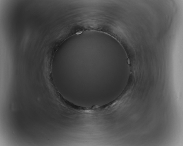 X0000088851297200706151710