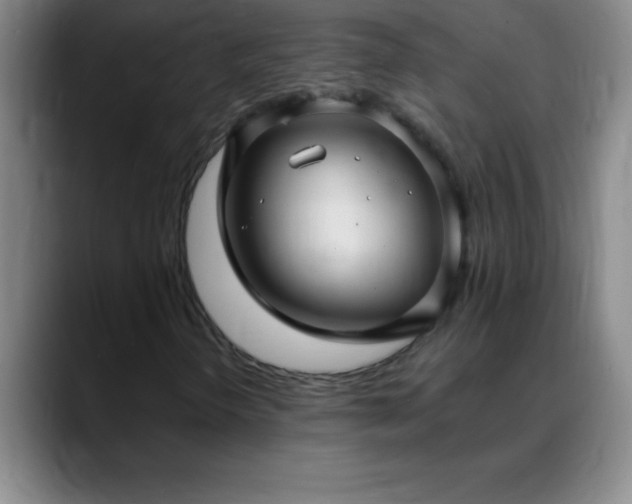 X0000088851298200706151710