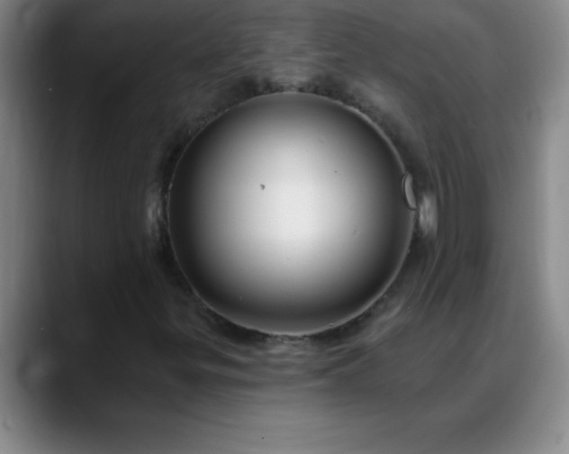 X0000088851299200706151710