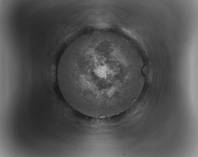 X0000088851301200706151710