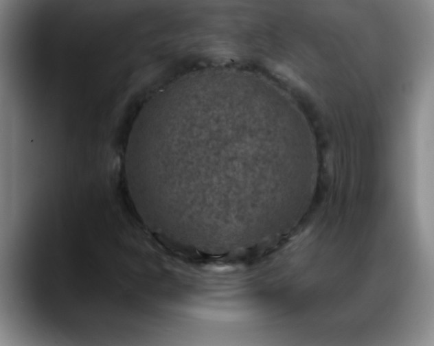 X0000088851302200706151710
